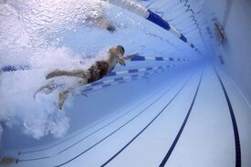 10 séances de natation de septembre à décembre